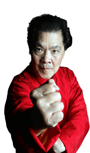 Adult Karate Taekwondo Fitness Martial Arts